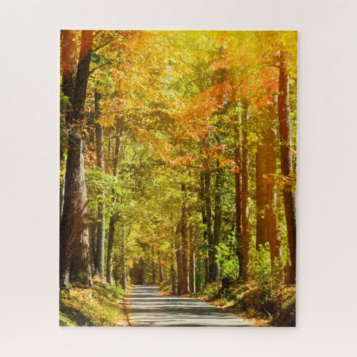 Golden Tennessee Lane Jigsaw Puzzle