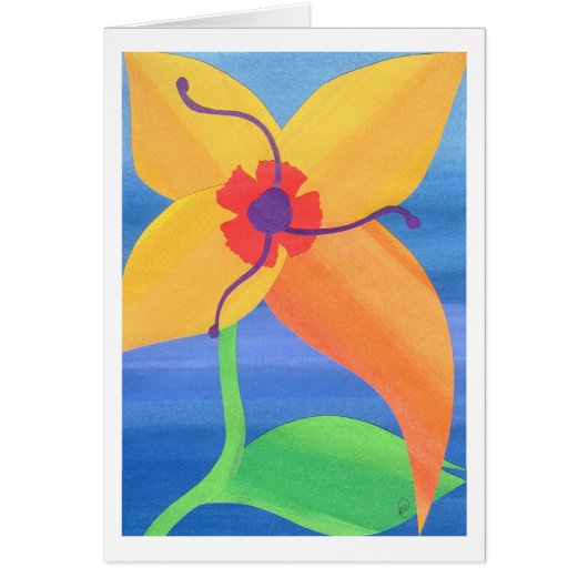 Golden Tiger Lily Cards (Front)