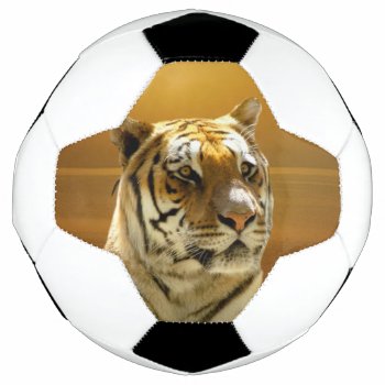 Golden Tiger Soccer Ball by ErikaKai at Zazzle