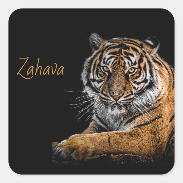 Golden Tiger Sticker (Front)