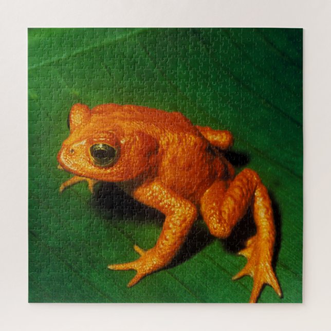 GOLDEN TOAD   JIGSAW PUZZLE (Vertical)