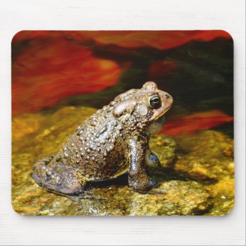 Golden Toad with Red Lily Pads Mouse Pad