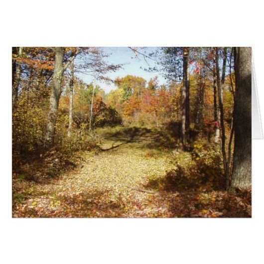 Golden Trail Cards (Front Horizontal)