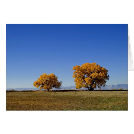 Golden Trees Cards (Front Horizontal)