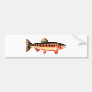 Golden Trout Bumper Sticker