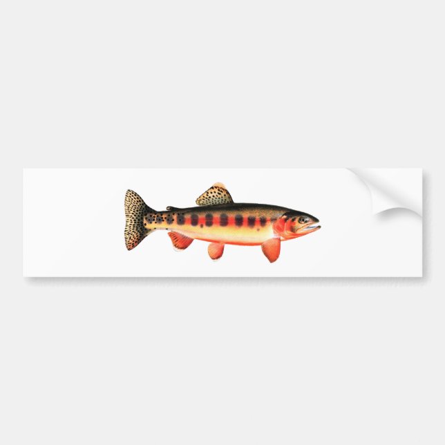 Golden Trout Bumper Sticker (Front)