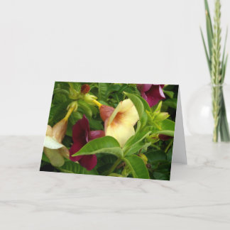 Golden Trumpet Card