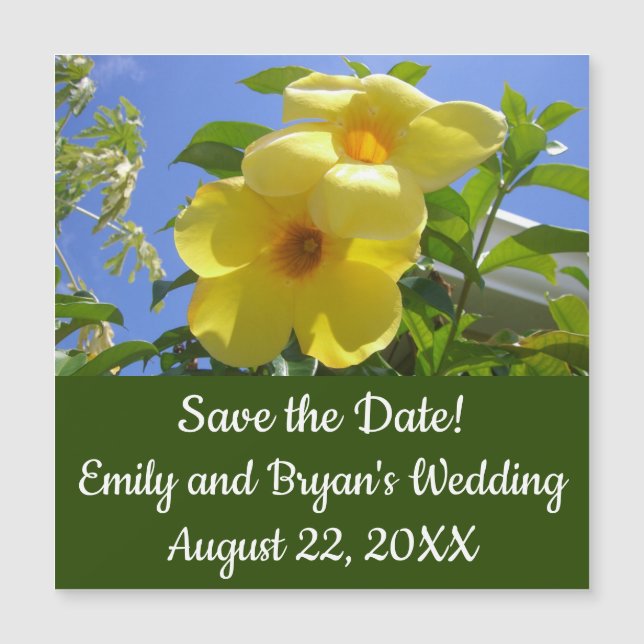 Golden Trumpet Flowers I (Front)