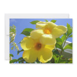 Golden Trumpet Flowers I Card