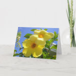 Golden Trumpet Flowers I Card