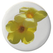 Golden Trumpet Flowers I Chocolate Covered Oreo (Front)