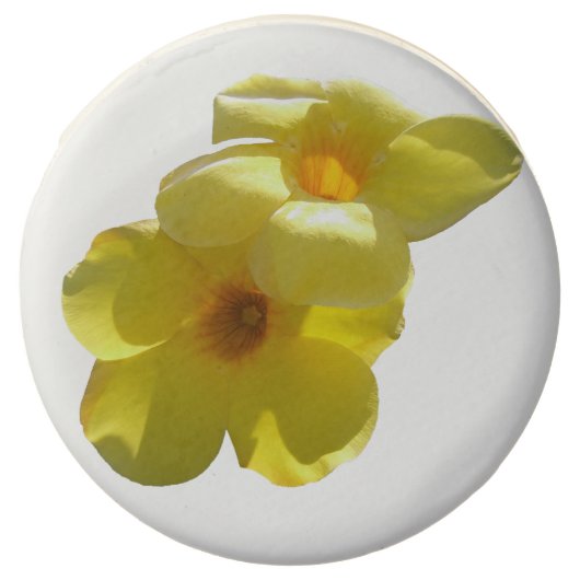 Golden Trumpet Flowers I Chocolate Covered Oreo (Front)