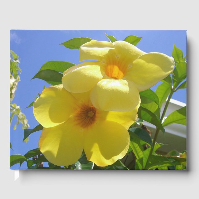 Golden Trumpet Flowers I Guest Book (Front)