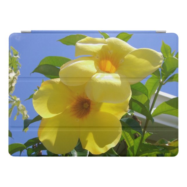 Golden Trumpet Flowers I iPad Pro Cover (Horizontal)