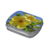 Golden Trumpet Flowers I Jelly Belly Candy Tin (Side)