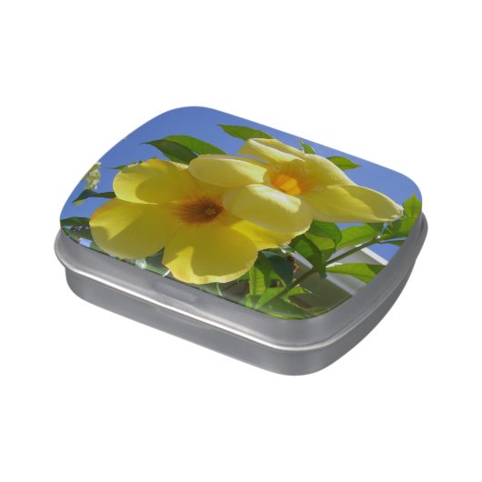 Golden Trumpet Flowers I Jelly Belly Candy Tin (Side)