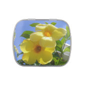Golden Trumpet Flowers I Jelly Belly Candy Tin (Top)