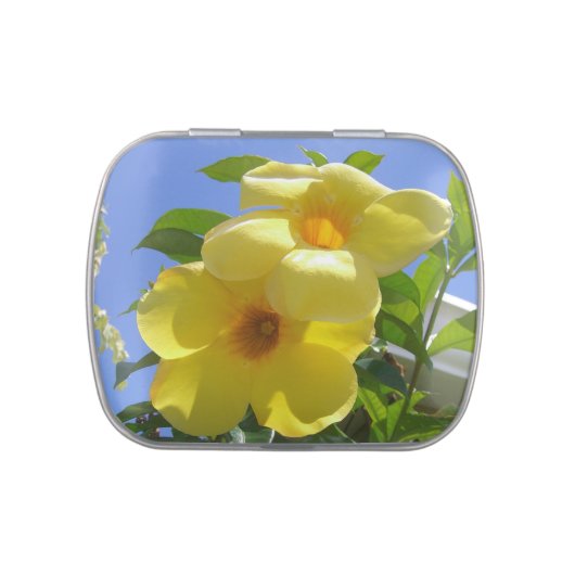 Golden Trumpet Flowers I Jelly Belly Candy Tin (Top)