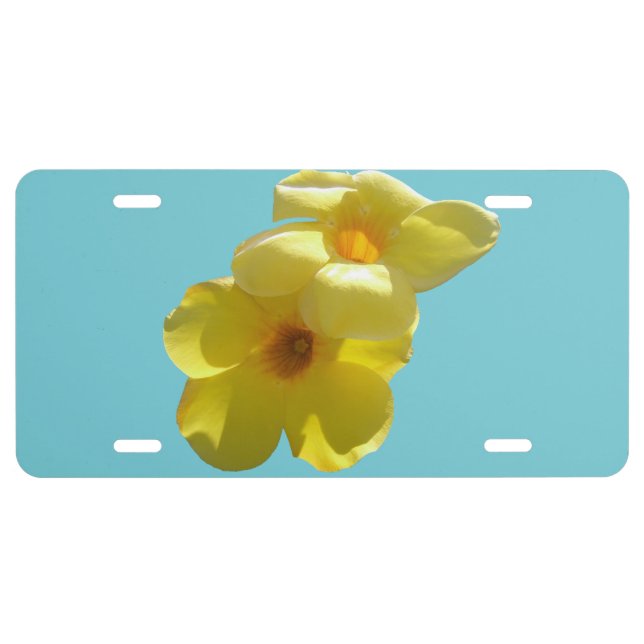 Golden Trumpet Flowers I License Plate (Front)