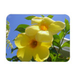 Golden Trumpet Flowers I Magnet