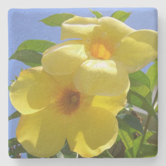 Golden Trumpet Flowers I Stone Coaster