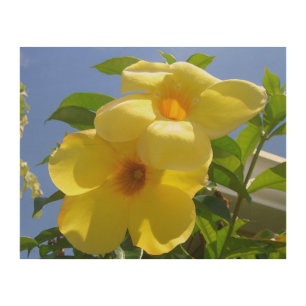Golden Trumpet Flowers I Wood Wall Art