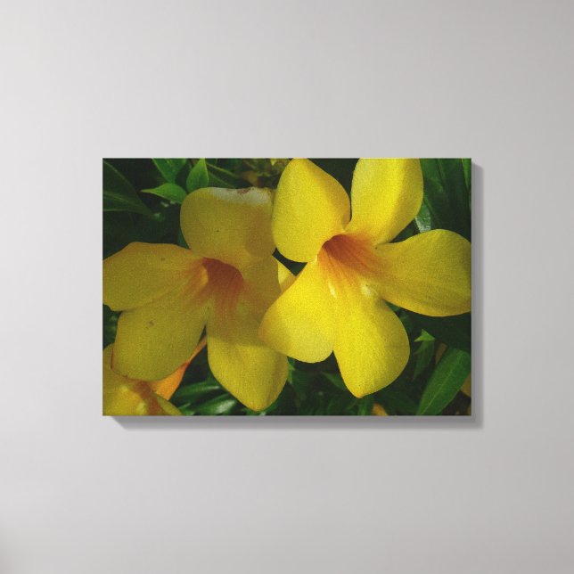 Golden Trumpet Flowers II Tropical Canvas Print (Front)