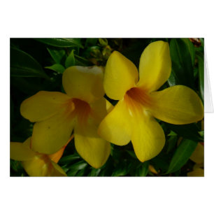 Golden Trumpet Flowers II Tropical Cards