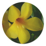 Golden Trumpet Flowers II Tropical Classic Round Sticker