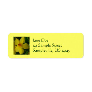 Golden Trumpet Flowers II Tropical Label