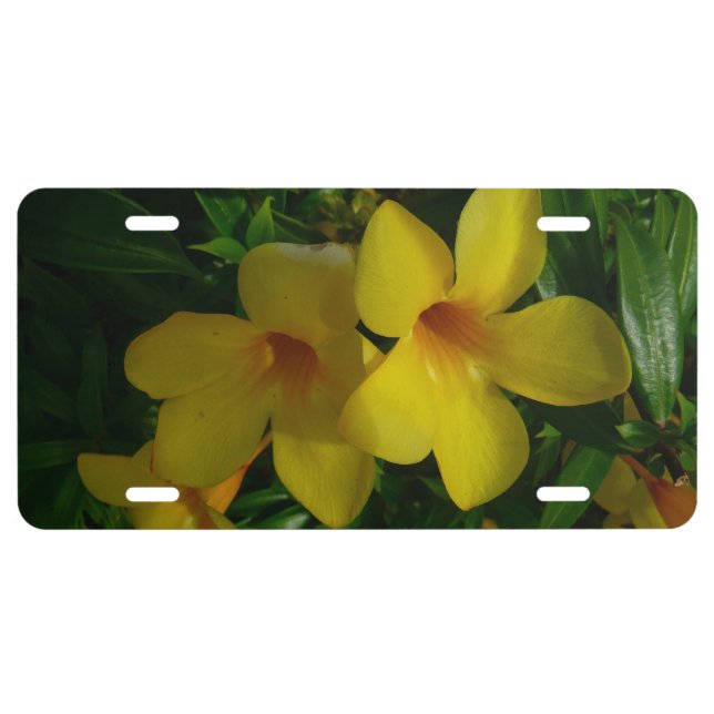 Golden Trumpet Flowers II Tropical License Plate (Front)