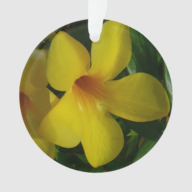 Golden Trumpet Flowers II Tropical Ornament (Front)