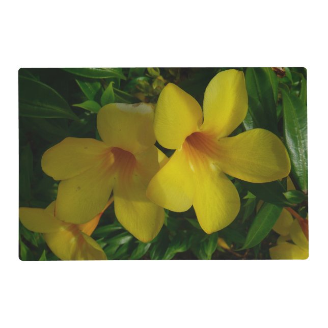 Golden Trumpet Flowers II Tropical Placemat (Front)