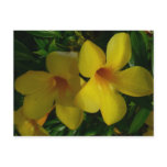 Golden Trumpet Flowers II Tropical Postcard