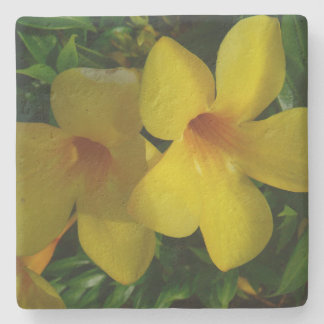 Golden Trumpet Flowers II Tropical Stone Coaster