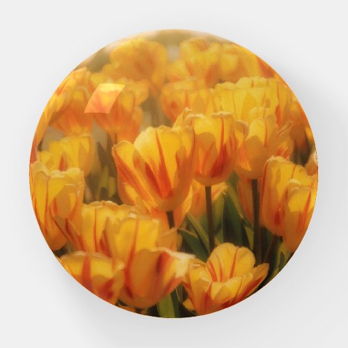 Golden Tulip Flowers Art Glass Paperweight