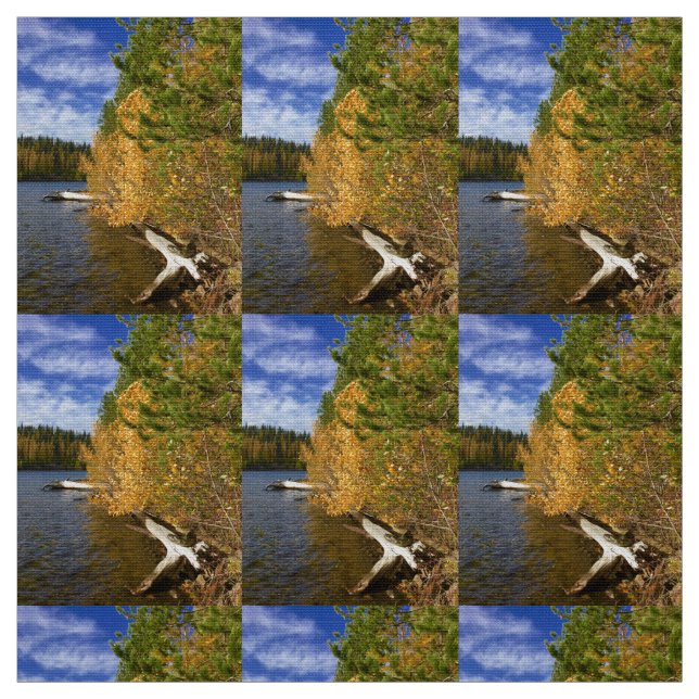 Golden Waters Fabric (Swatch)