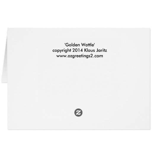 Golden Wattle - Acacia pycnantha (Back Horizontal)