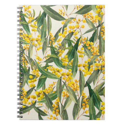 Golden Wattle Acacia pycnantha is Australias na Notebook