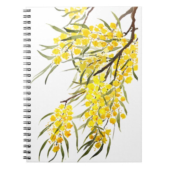 golden wattle flower watercolor notebook (Front)