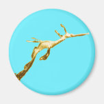 Golden Weedy Sea Dragon Magnet