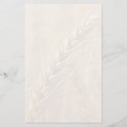 Golden Wheat Custom Stationery