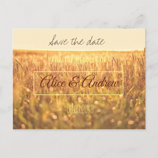Golden Wheat Field Farm Save the Date Postcard (Front)