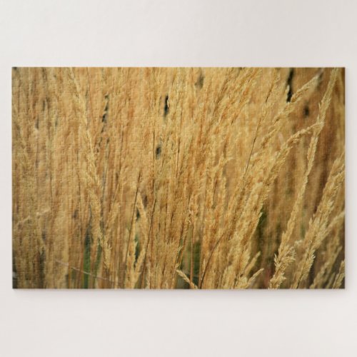 Golden Wheat Fields _ 20x30 _ 1014 pcs Jigsaw Puzzle