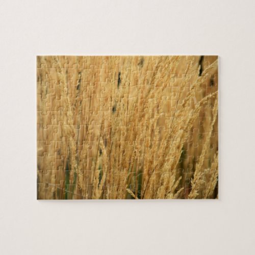 Golden Wheat Fields _ 8x10 _ 110 pcs Jigsaw Puzzle