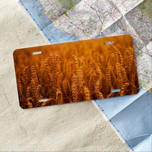 Golden Wheat Harvest License Plate