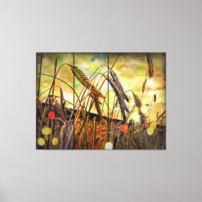 Golden Wheat Sparkle Canvas Print (Front)