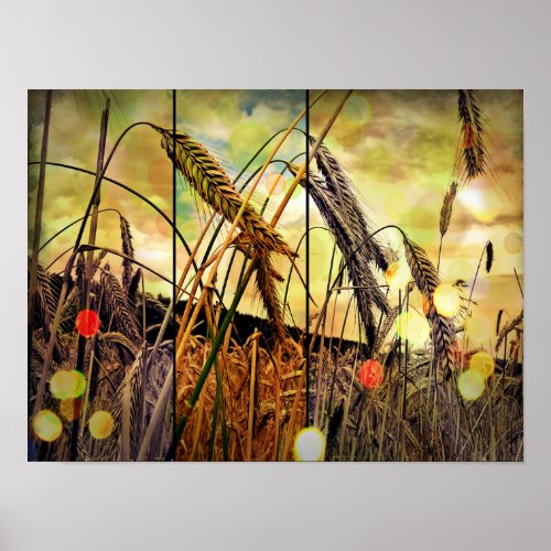 Golden Wheat Sparkle Poster