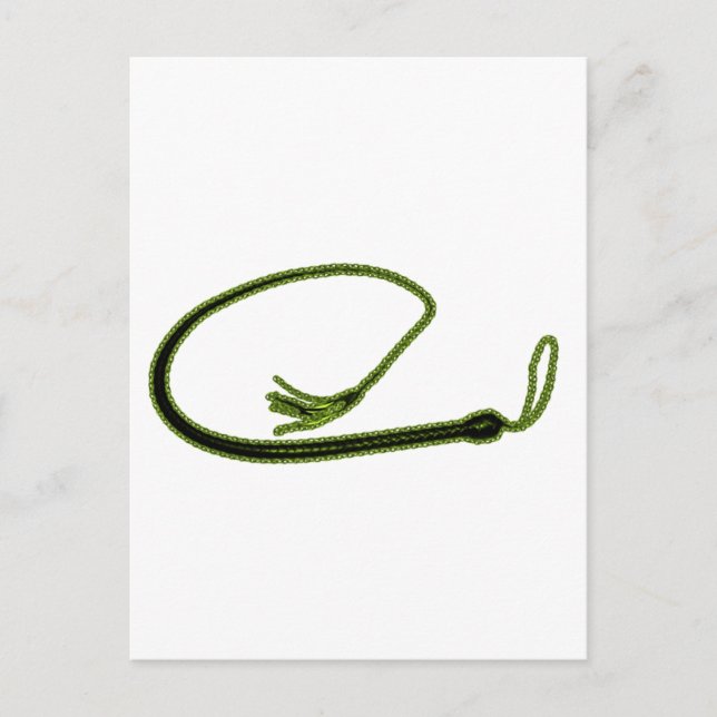 GOLDEN WHIP POSTCARD (Front)