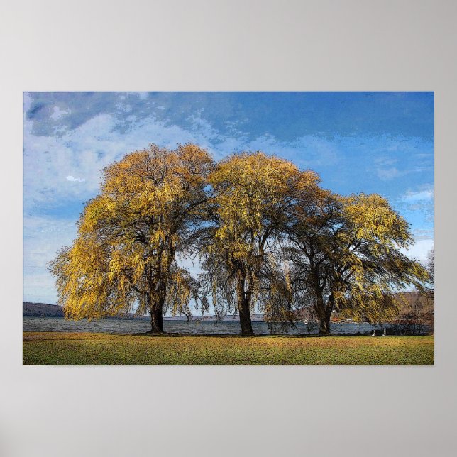 Golden Willows Poster (Front)